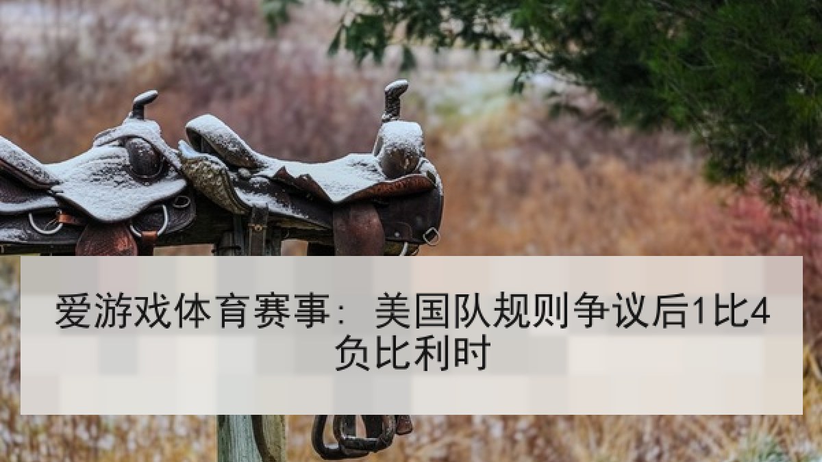 爱游戏体育赛事: 美国队规则争议后1比4负比利时
